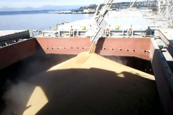 Brizo Bulk Shipping - Dry Cargo