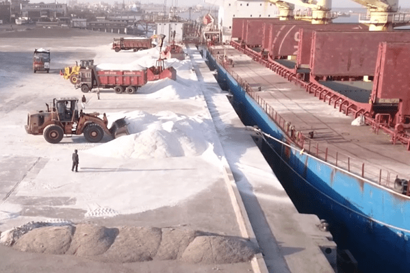 Brizo Bulk Shipping - Project Cargo