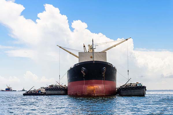 Brizo Bulk Shipping - Dry Cargo