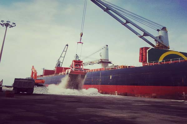 Brizo Bulk Shipping - Dry Cargo
