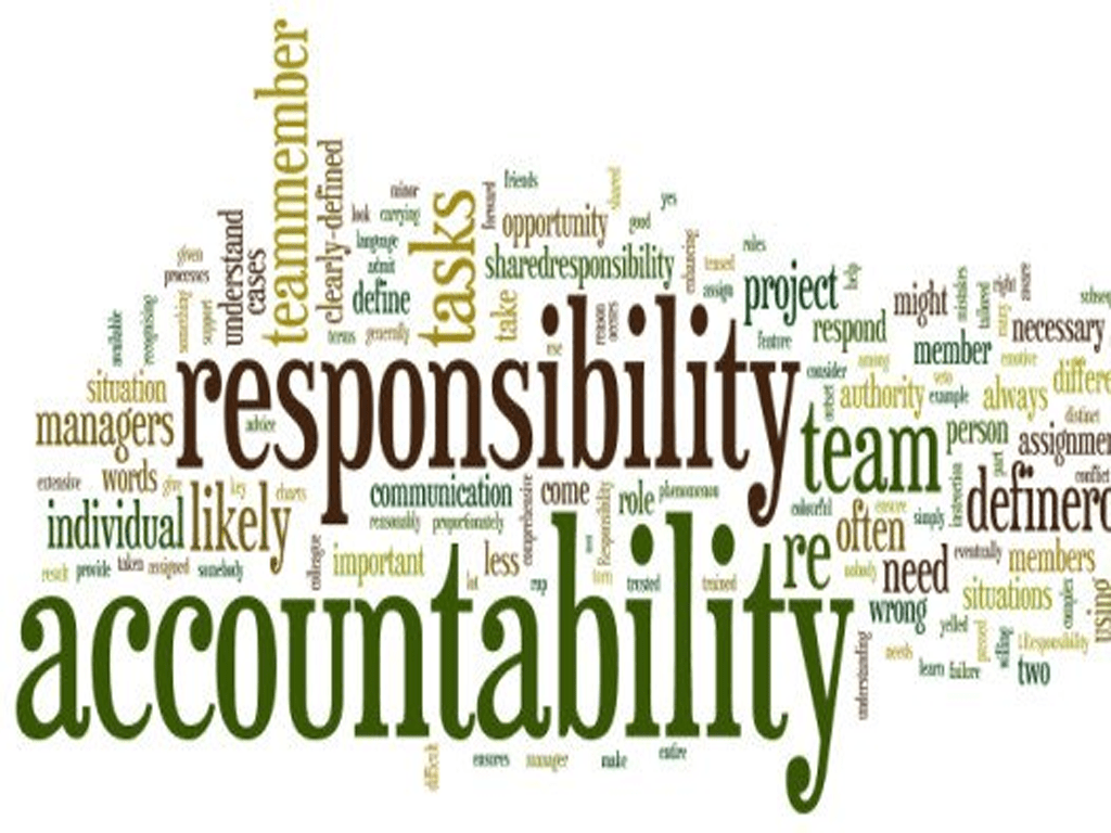 Brizo Bulk Shipping - Brizo Responsibilities